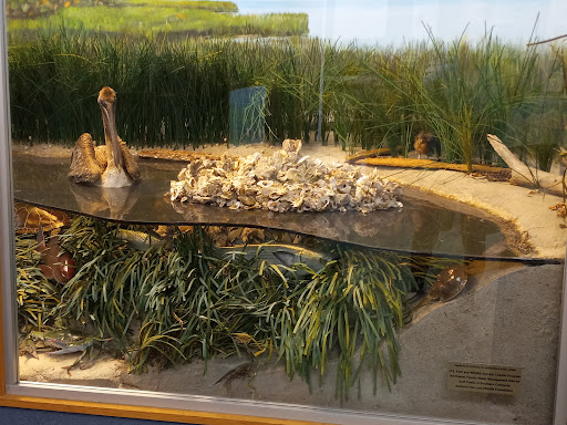 Environmental Interpretive Center - Visual