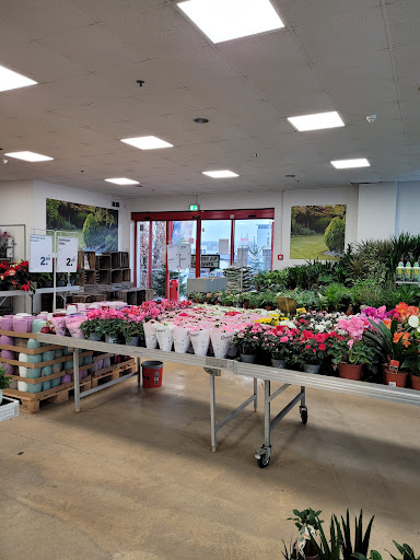 toom Baumarkt Hamburg-Wandsbek - Thumbnail