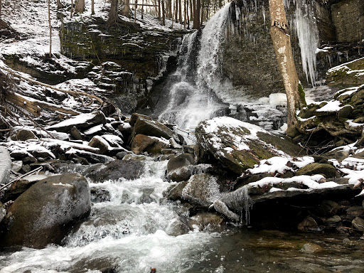 Bucktail Waterfall Park - Thumbnail