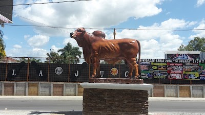 Photos of Metropoly Chiquimula