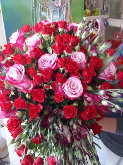 Photos of Ziedu flirts