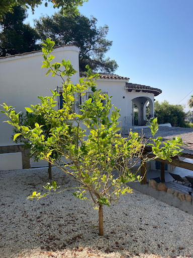 Casa Nova - enjoy the Spanish life - Thumbnail