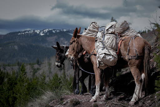 Whiskey Ridge Outfitters