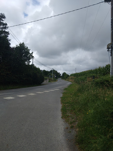 Frogerais - Visual