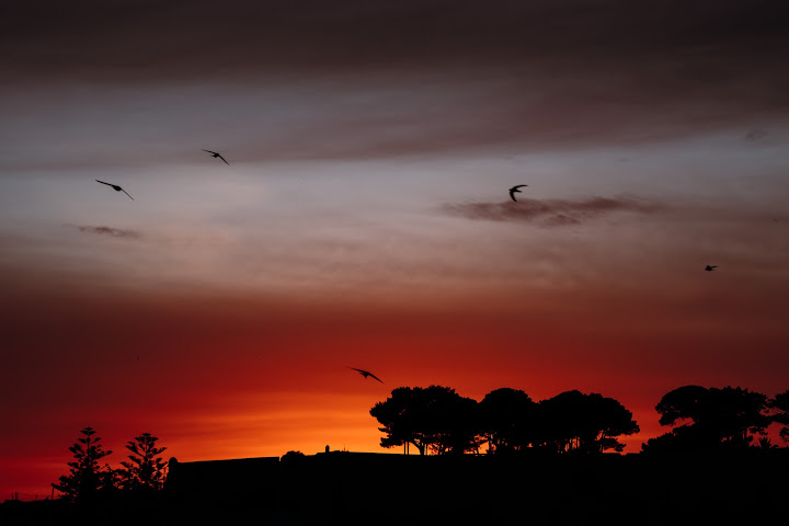 Avli Lounge Apartments by null