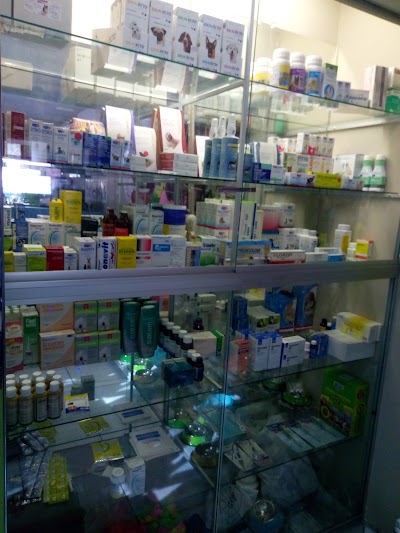 Photos of Bernardos Veterinary Hospital