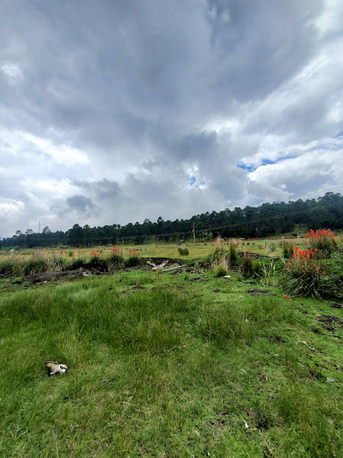 Izta-Popo-zoquiapan Ecological Park - Thumbnail