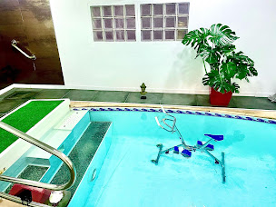 Photo n°12 de Bruel Frederic - Kiné Ostéo à Albi (Ostéopathe)