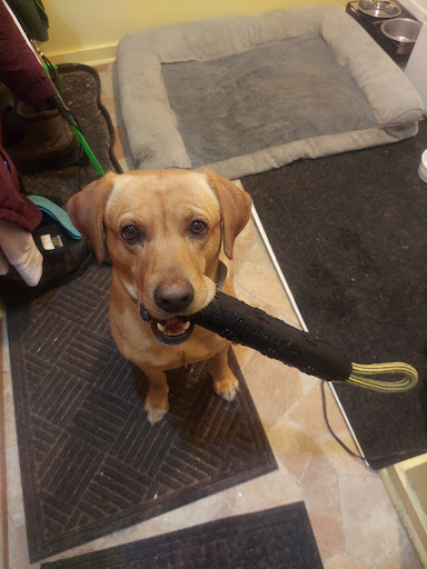 Lakes Veterinary Hospital Gallery - United States