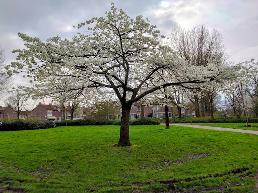 Severijnpark