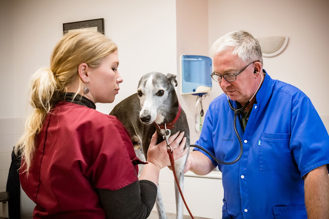 Clinique vétérinaire Saint Marc - Lannion - Sevetys