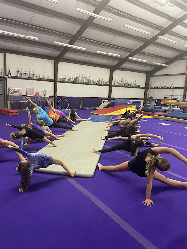 Island Gymnastics Training - Thumbnail