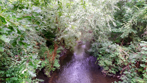 Berkeley Meadows - Visual