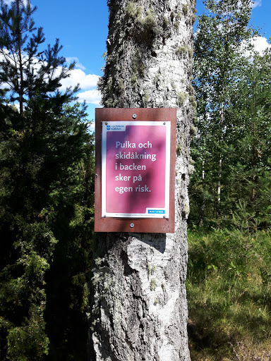 Lejonbacken - Visual