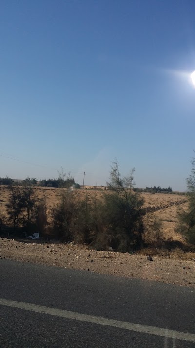 Photos of مشتل فريسكو لانتاج الشتلات المطعومة والعادية