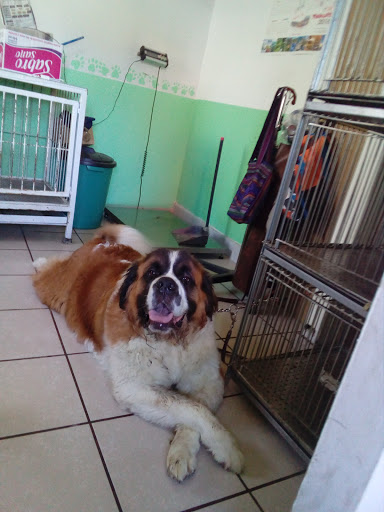 Veterinaria PetSmart