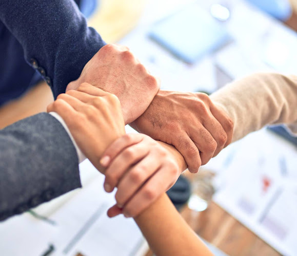 E-Commerce OWL photo