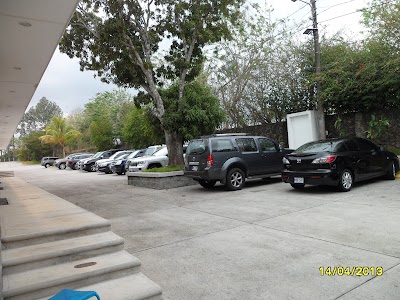 Photos of Jungle Kids Playground