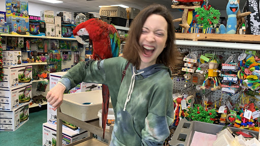 Whalton's Pet Shop - Thumbnail