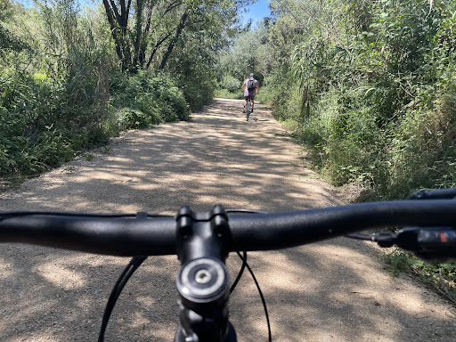 Rec Bikes - Visual