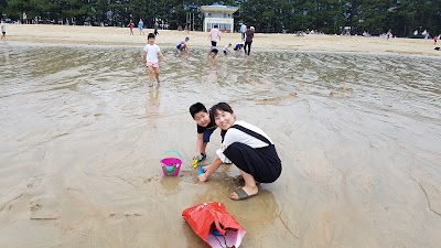 Photos of 상주은모래비치
