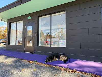 Photo of Purple Co.