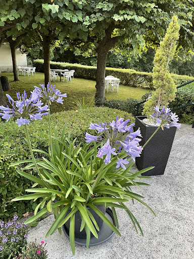 site_photo1