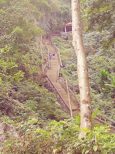 Photos of Wooden Bridge