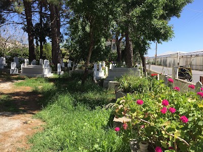 Photos of Mezarlık