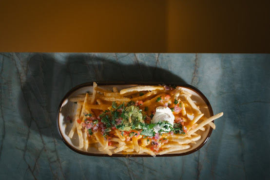 Gato Exotico by null