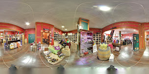 Photo n°33 de V and B Olivet à Olivet (Caviste)