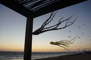 Photo n°22 de Camping Le Lagon Bleu à Notre-Dame-de-Monts (Terrain de camping)