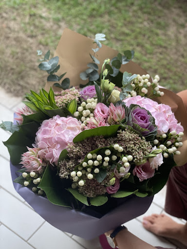 Eflora - Visual