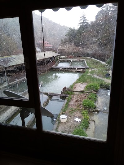 Photos of Mahdumlar Alabalık