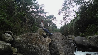 Photos of Hutan Pinus Sentul