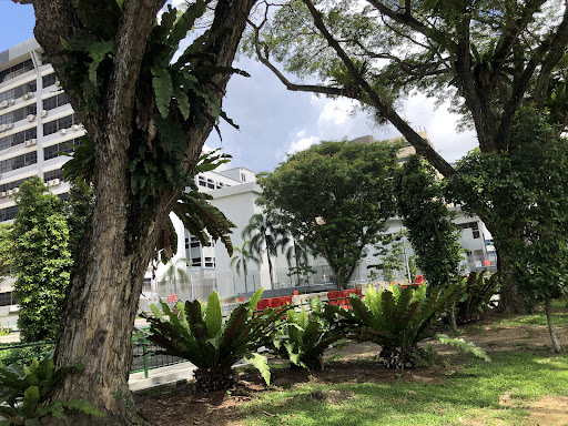 Aljunied Park Gallery - Singapore