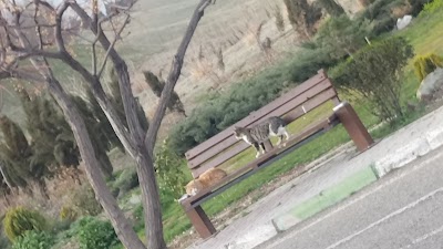 Photos of Park Pardisan