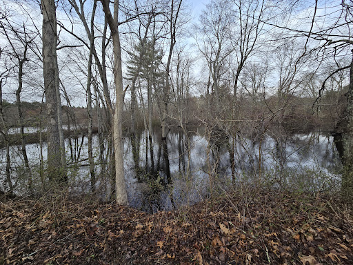 Taunton River Wildlife Management Area - Thumbnail