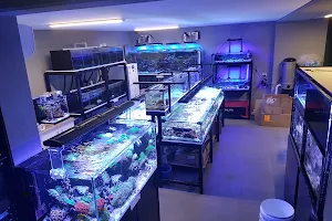 Fish Doctor image