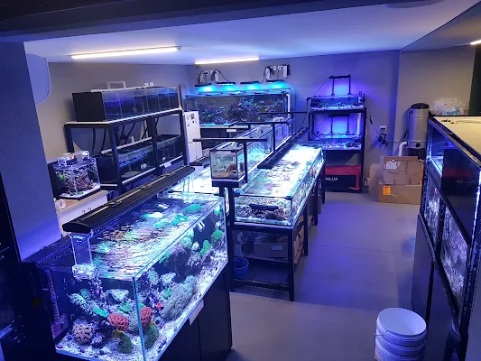 Fish Doctor