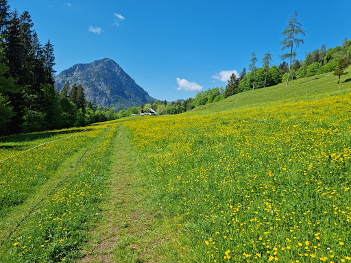 Höllenbachalm - Visual