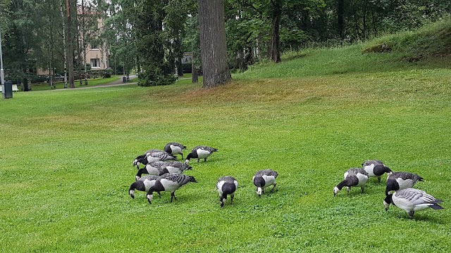 Sibelius Monument