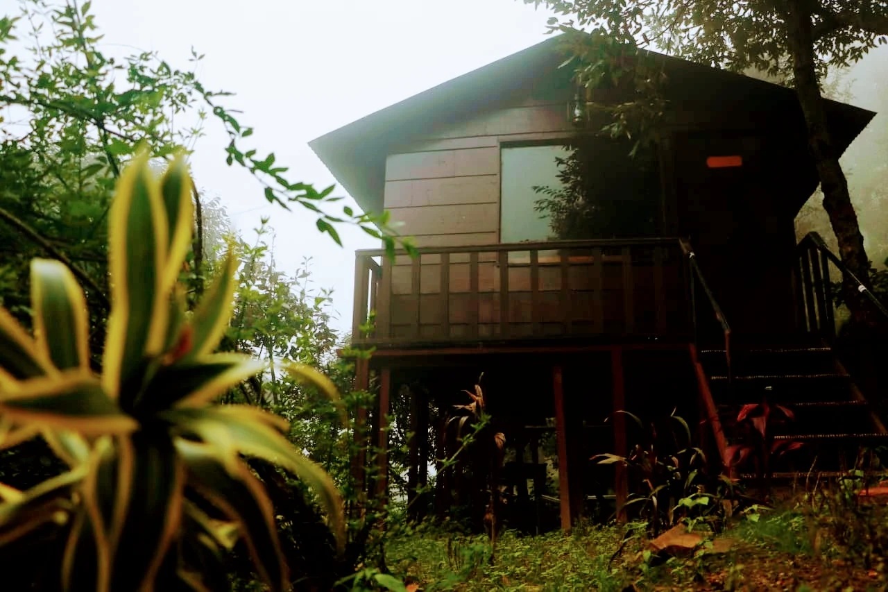 Kaafal Cottage, Ranikhet