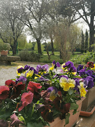 Photo n°40 de Camping Les Biens Neufs à Salon-de-Provence (Camping à la ferme)