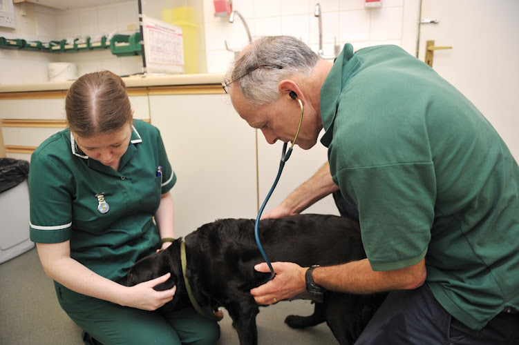 Abbey Veterinary Centres, Brecon