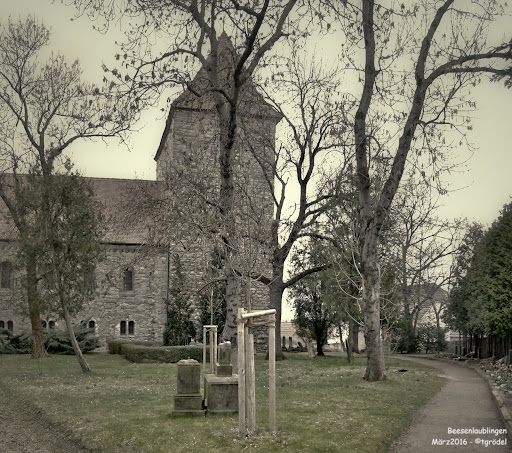 Beesenlaublingen - Thumbnail