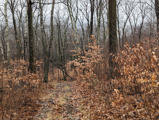 Berkshire Fishing Club - United States