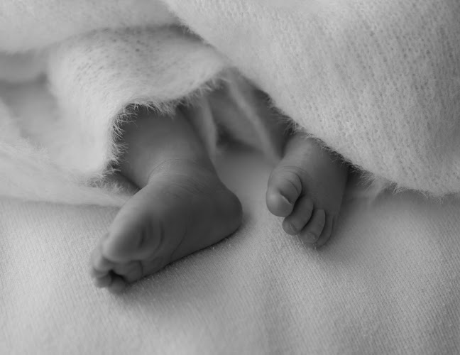 Karina Sollner Fotografie