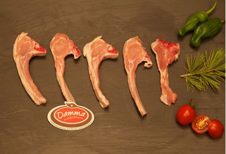 Damma - Thumbnail