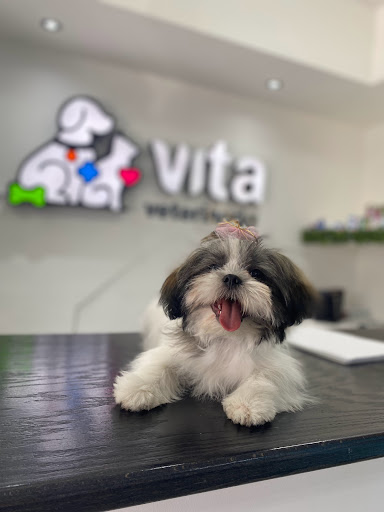 VITA veterinaria